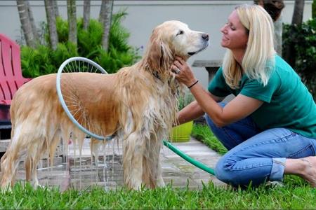 Letošnji top shit TV izdelek: 360 stopinjski tuš za pse